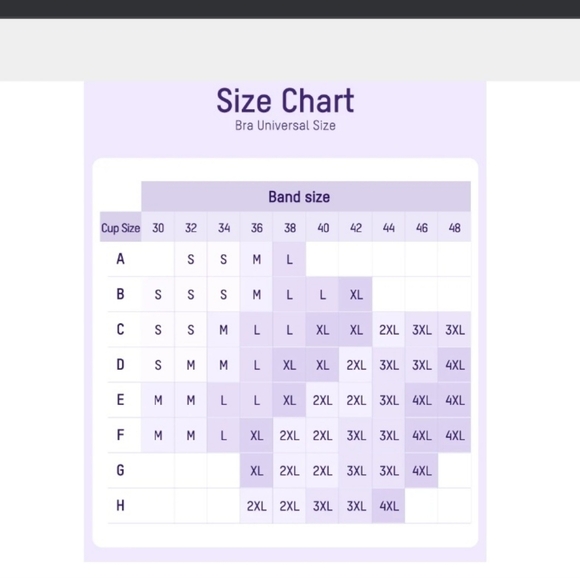 Seamless Black Bra - Picture 4 of 4